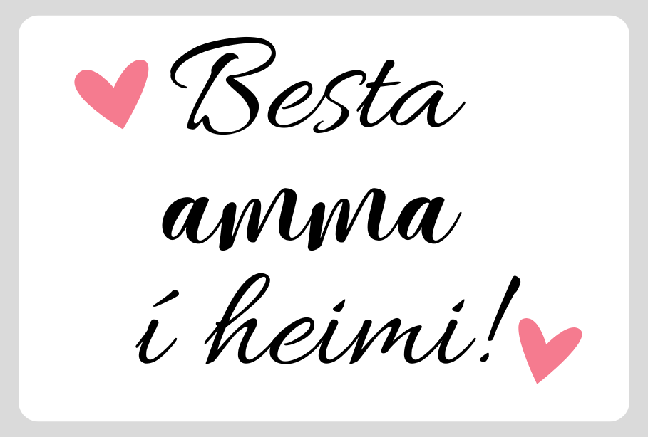 Segull │Besta amma í heimi