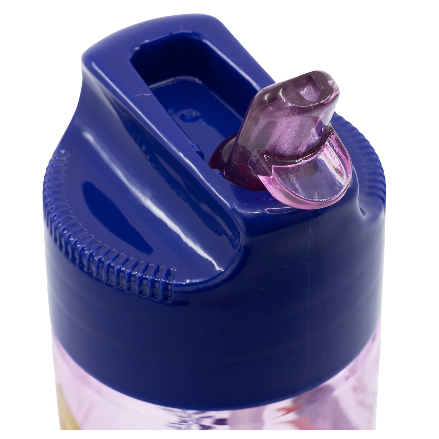 Ecozen Hydro Flaska 430ml │Frozen