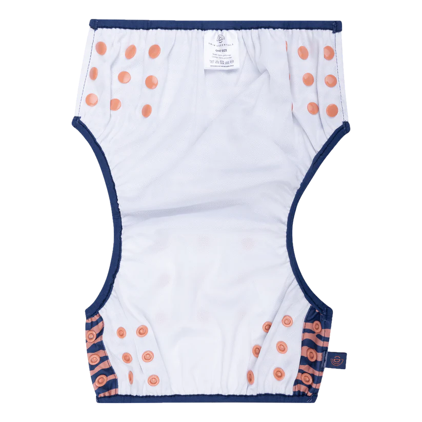 Sundbleyja │Blue Zebra