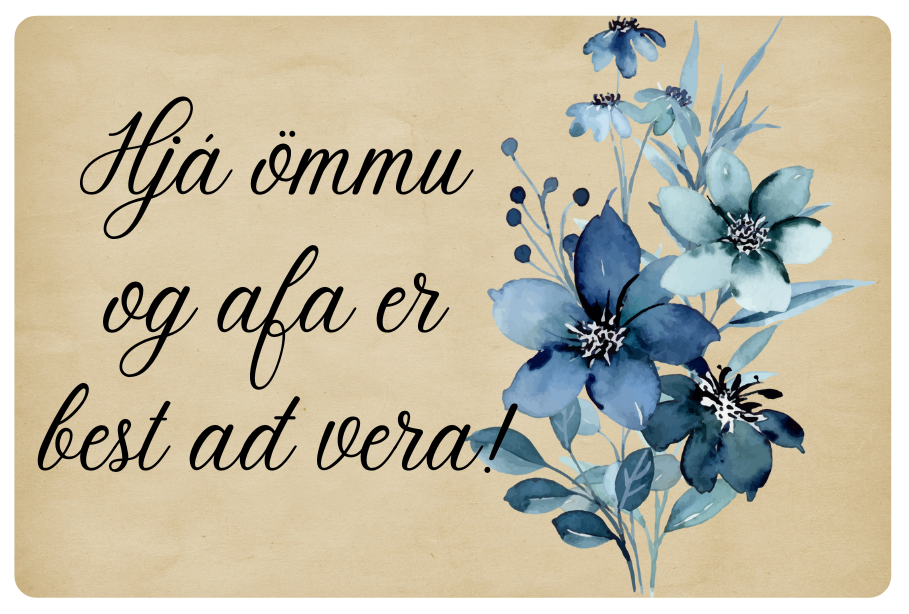 Segull │Hjá ömmu og afa er best að vera!