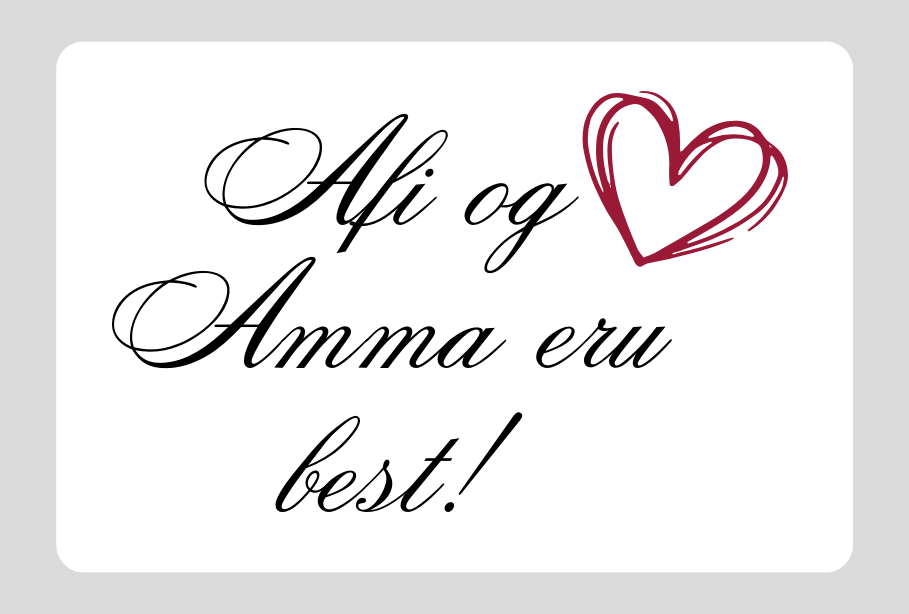 Segull │Afi & Amma eru best