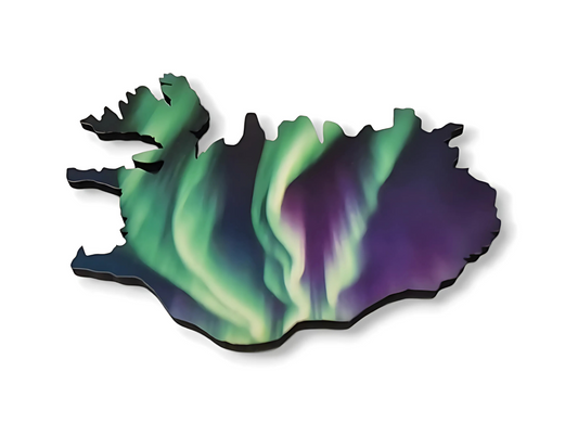 Segull │ Ísland │ Norðurljós