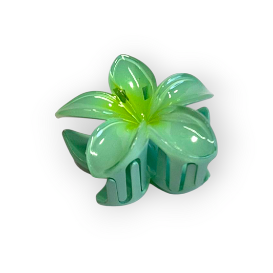 Hárklemma │ Blóm │ 7 litir