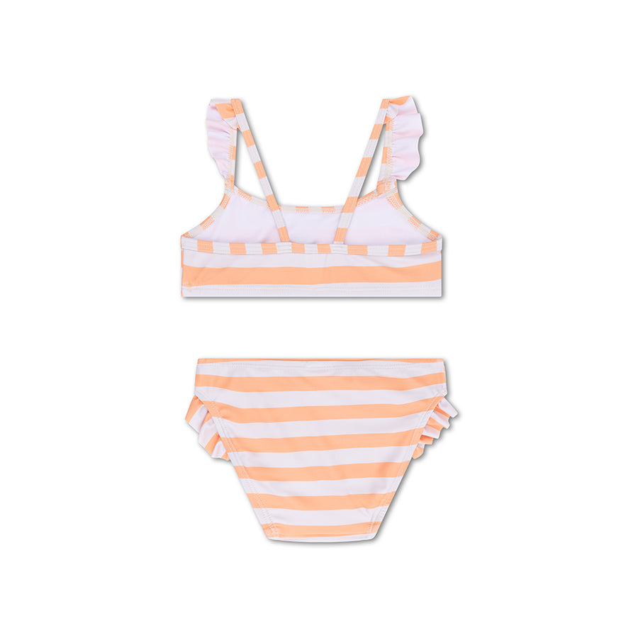 Bikiní │ Bluey