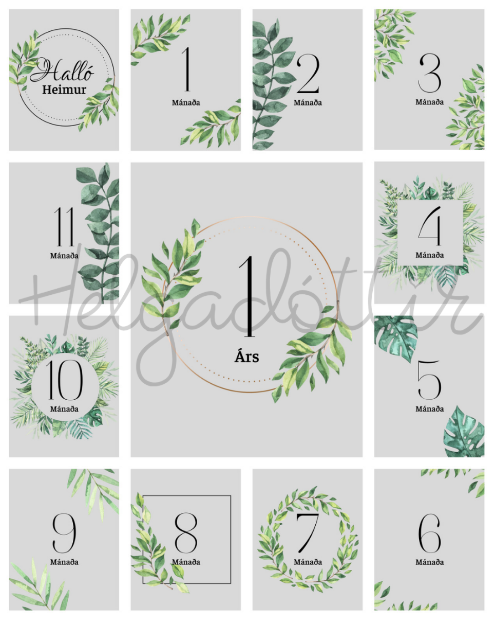 Mánaðarspjöld │ 1