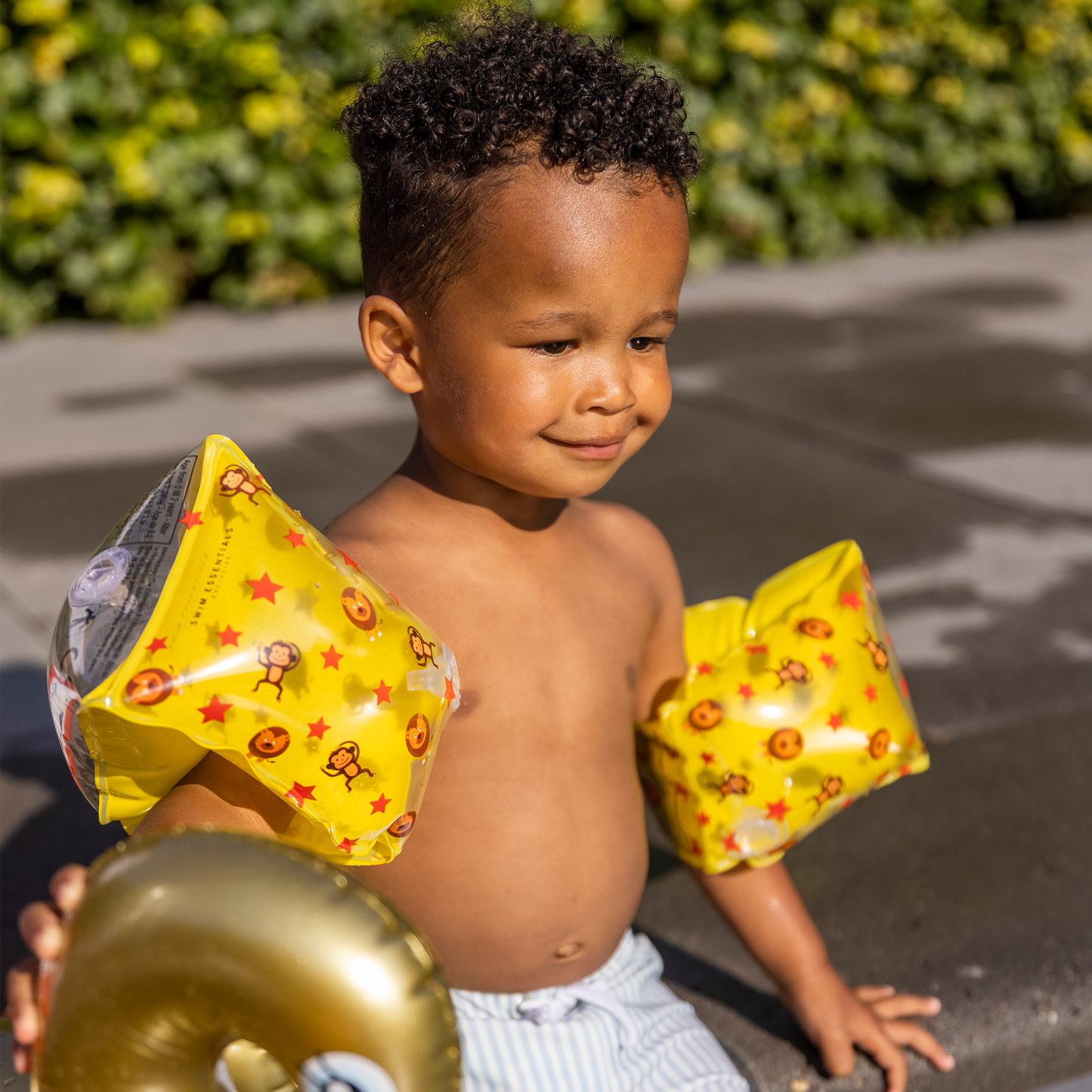 Armkútar │Yellow Circus