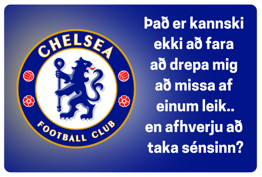 Segull │Chelsea