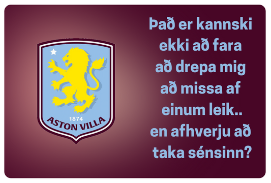 Segull │Aston Villa