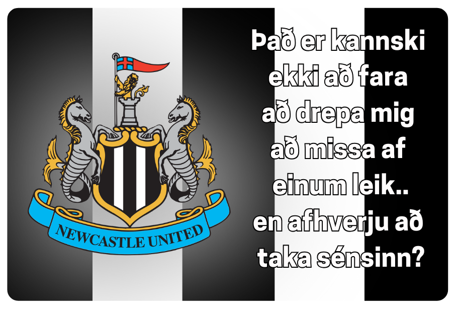 Segull │Newcastle United