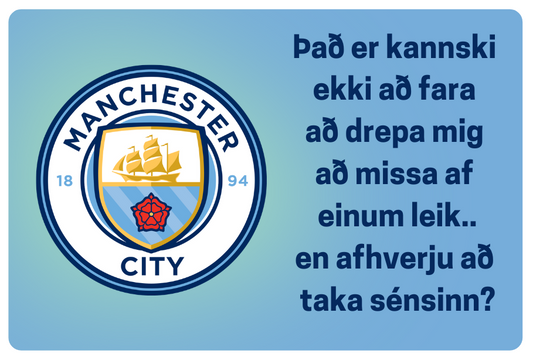 Segull │Manchester City