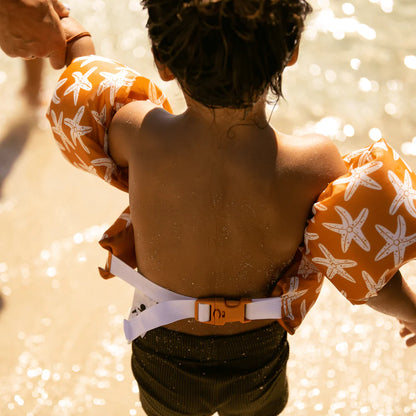 Puddle Jumper │Sea Stars