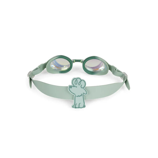 Sundgleraugu│ Green Surfer