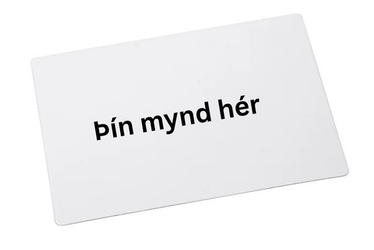 Segull 10x15cm │ Þín hönnun