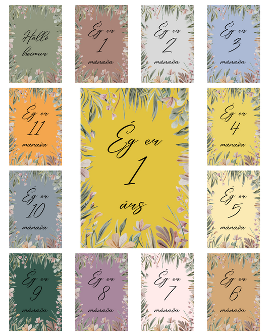 Mánaðarspjöld │ 2