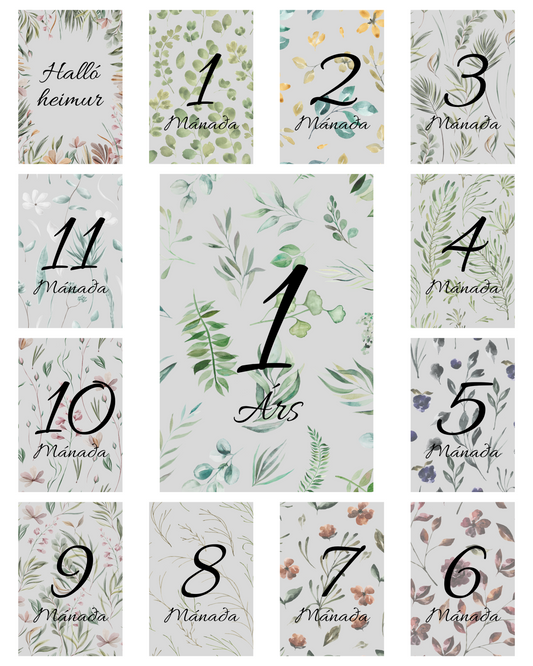 Mánaðarspjöld │ 3