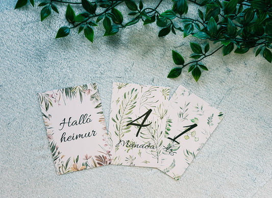 Mánaðarspjöld │ 3